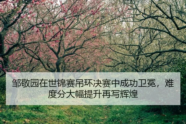邹敬园在世锦赛吊环决赛中成功卫冕，难度分大幅提升再写辉煌