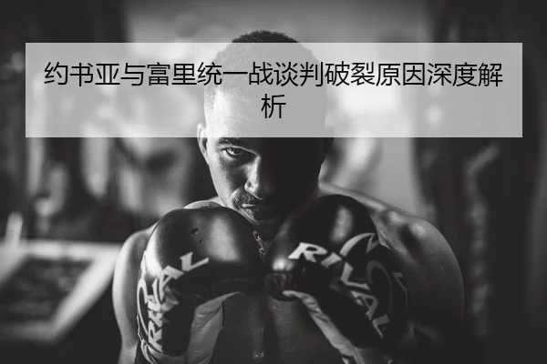 约书亚与富里统一战谈判破裂原因深度解析