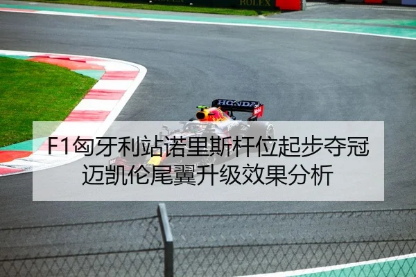 F1匈牙利站诺里斯杆位起步夺冠迈凯伦尾翼升级效果分析